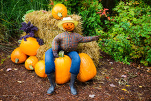 Pointing Scarecrow Sitting On A Pumpkin