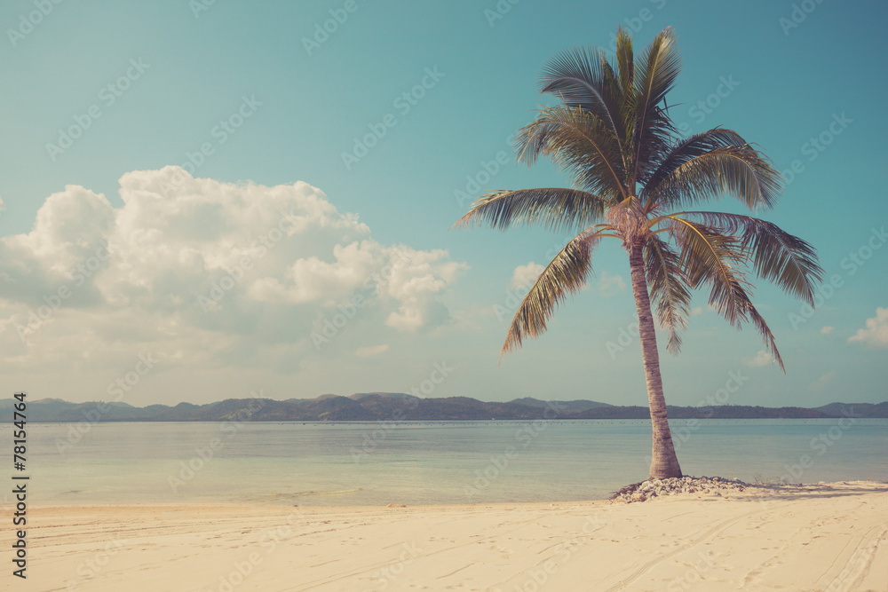 Vintage filtered palm tree on tropical beach Stock Photo | Adobe Stock