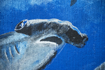 Wall Mural - hammerhead shark murales