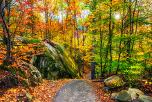 Rocky Path In An Autumn Forest