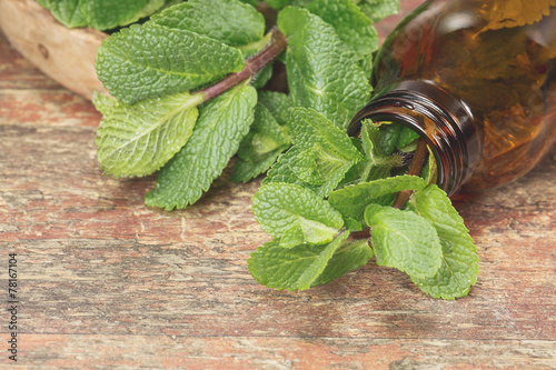 Fotografía Mint oil. Fresh mint herb and Essential mint oil
