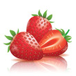 Strawberry, Realistic vector illustration