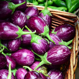 Fototapeta Sawanna - Eggplant purple