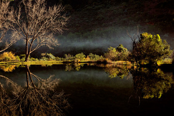 Wall Mural - Scenic pond with mist, Royal Natal National Park