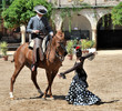 equestrian show, Cordoba, Spain