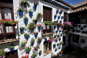 courtyard decorated with flowers, Cordoba, Spain