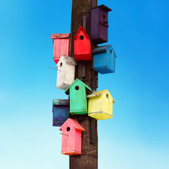 Lots of colorful wooden birdhouses on a tree against blue sky