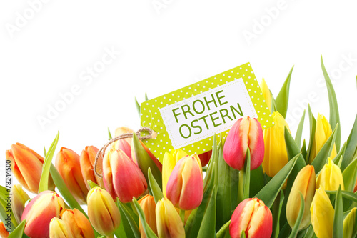 Ostern - Tulpen Freisteller