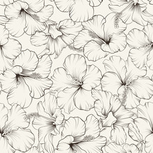 Beautiful Hibiscus Pattern.