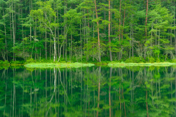  Mishaka Pond in Nagano, Japan