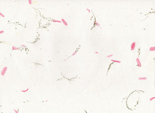Old Handmade Paper Texture Background With Dried Flowers