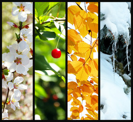 Sticker - four seasons collage: winter, spring, summer, autumn