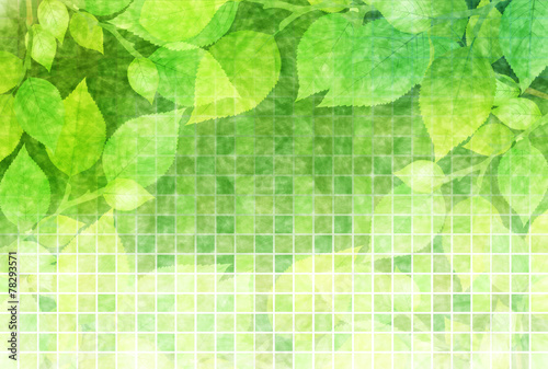 Plakaty zielone  lisc-swiezy-zielony-tlo