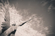 Guardian angel wings of ancient statue on sky Black and white image Faith and protection concept