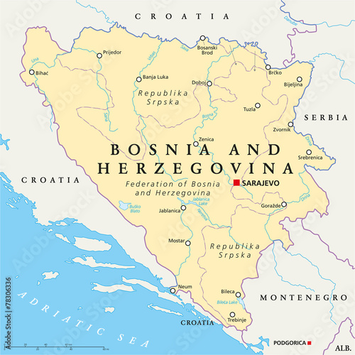 Cuadros en Lienzo Bosnia And Herzegovina Political Map