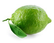 Lime. Fresh fruit with leaf on white background