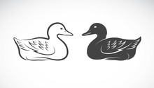 Vector Image Of An Duck On White Background