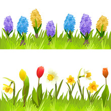 Banners With Spring Flowers, Tulips, Daffodils And Hyacinths