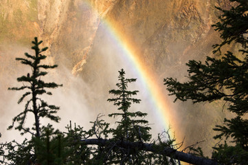 Yellowstone National Park, USA