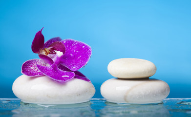 Poster - Spa still life with pink orchid and white zen stone in a serenit