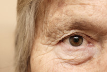 Close-up Of Old Woman's Eye