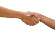 close up of handshake isolate on white with clipping path