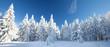 canvas print picture - Winterpanorama
