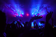 © Dmytro Panchenko - Cheering crowd having fun at a concert.