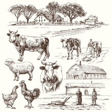 Farm, Cow, Agriculture - Hand Drawn Collection