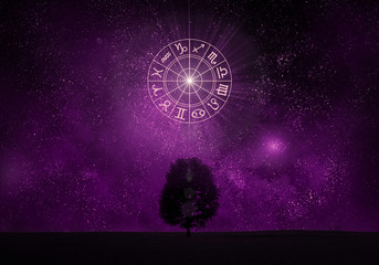 Wall Mural - Zodiac signs tree silhouette