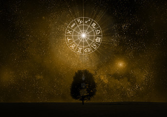 Wall Mural - Zodiac signs tree silhouette