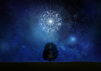 Wall Mural - Zodiac signs tree silhouette