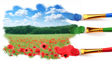 Three Brushes Paint A Beautiful Landscape With Poppies.