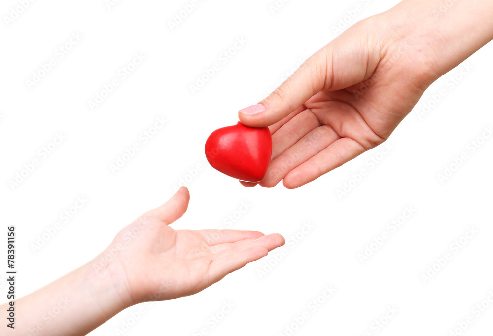 Heart in child and mother hands isolated on white