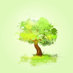 Poster - green tree with leaves and brown bark vector