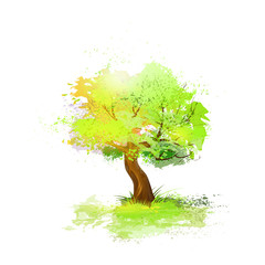 Poster - green tree with leaves and brown bark isolated over white