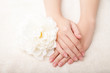 © julenochek - Beautiful woman hands and  flower over white background
