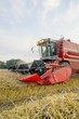 © Countrypixel - Roter Mähdrescher am  Abend, in Aktion