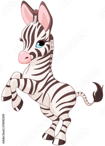 Naklejka na drzwi Cute baby zebra