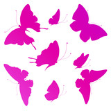 Fototapeta Motyle - butterflies design