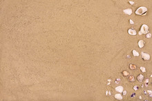Sandy Beach Background Seashells Copy Space Sea Vacation Concept