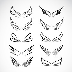 Wall Mural - Vector black wing icons set on white background