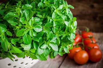 Wall Mural - fresh organic basil in white colander with cherry tomatoes