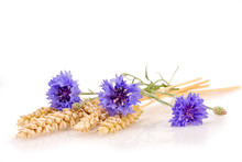 Ears Of Wheat With Cornflowers