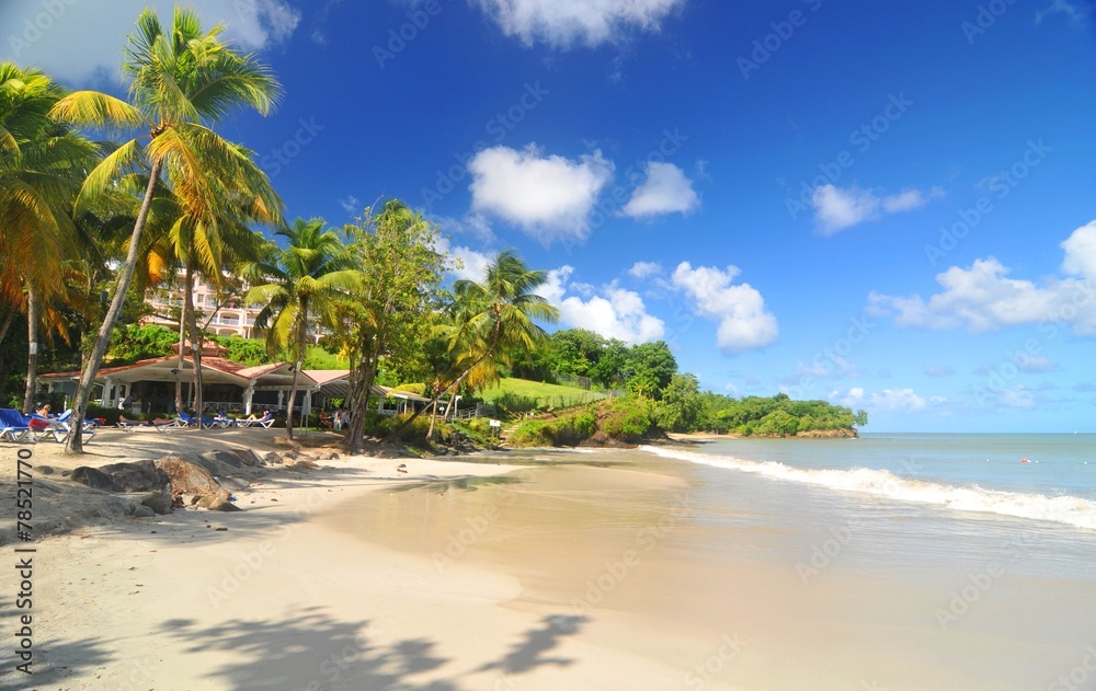 Caribbean beach - obrazy, fototapety, plakaty 
