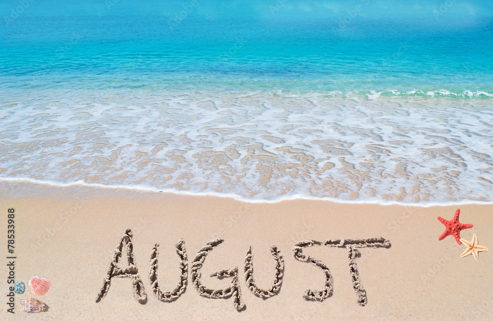 august on a tropical beach - obrazy, fototapety, plakaty 