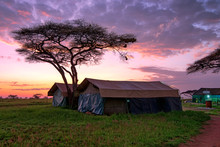 Tented Camp In Savannah