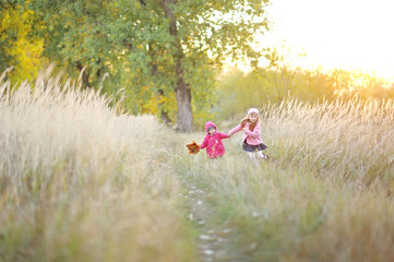 portrait of two beautiful young sisters in the autumn