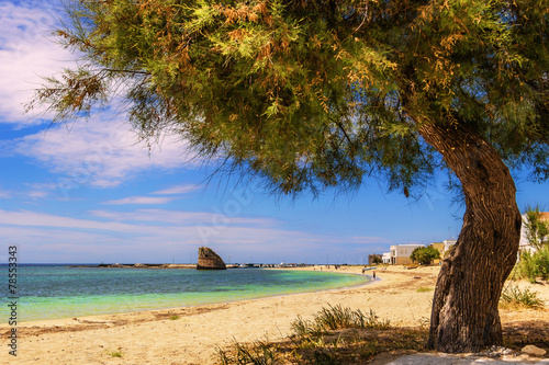 ESTATE.Costa ionica del Salento: Torre Pali.- (Puglia) ITALIA- Poster