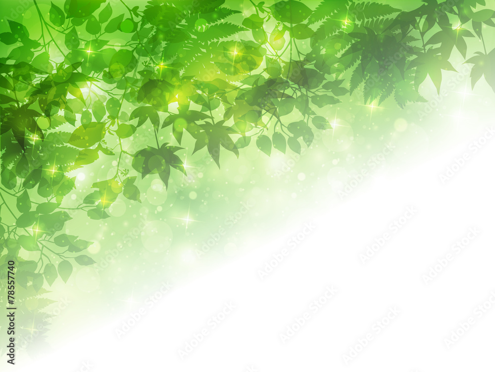 Fototapeta 葉 新緑 背景 Las Fototapety Ecowall24 Pl Fototapeta 葉 新緑 背景 Las Fototapety Ecowall24 Pl